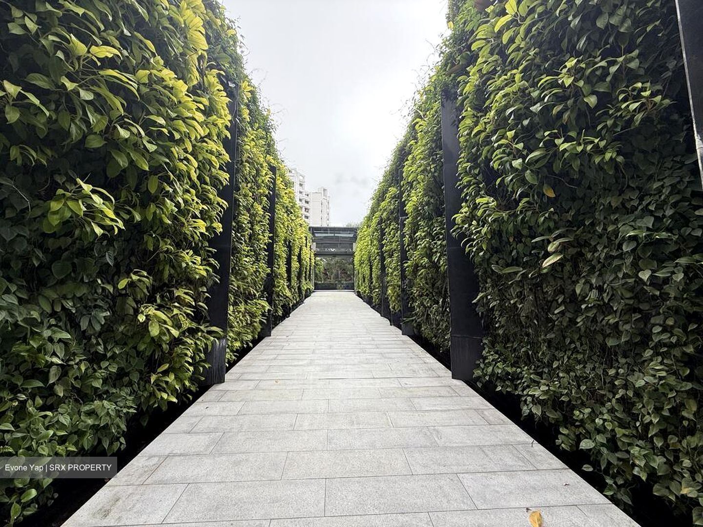 The Luxurie (D19), Condominium #515132931